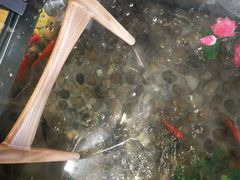 -印象江南(东栅店)