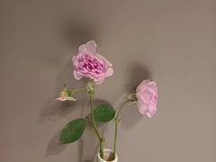 -宴昆山·私房菜(春晖店)