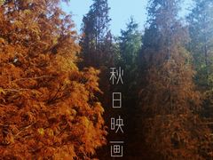 -云溪植物园