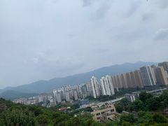 -金鸡山公园