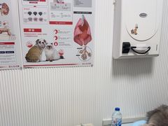 -守诺宠物医院·眼科· 特色牙科·异宠专科(虹口店)