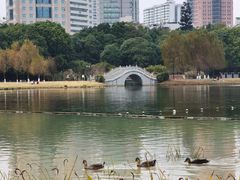 -南宁南湖公园