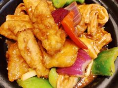 红烧支竹斑腩煲-新宝餐厅(流塘店)