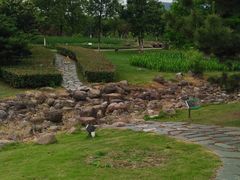 -白塘生态植物园