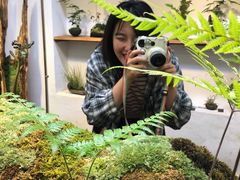-植觉