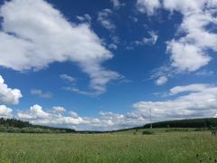 -塞罕坝国家级自然保护区