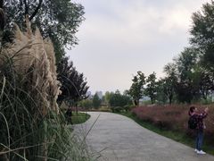 -汉长安城未央宫国家考古遗址公园