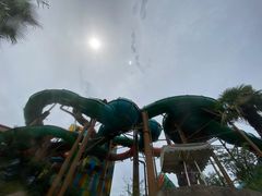 -杭州开元森泊度假乐园