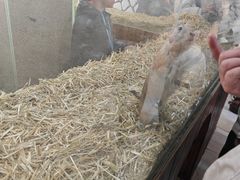 -海合安武汉极地海洋公园