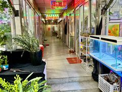 -曲阳花鸟市场(曲阳路店)
