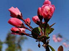 -苏州河梦清园环保主题公园