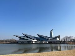 -盐城丹顶鹤湿地生态旅游区