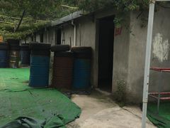 -东湖小天池真人CS彩弹野战基地