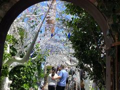 -The Grounds of Alexandria