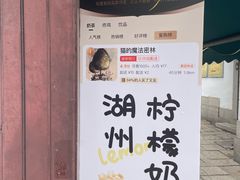-猫的魔法密林(衣裳街店)