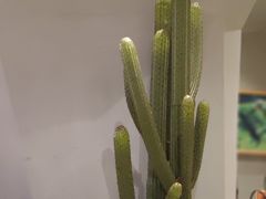 景观位-LELECHA乐乐茶(上海五角场万达广场店)