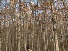 -黑龙江省森林植物园
