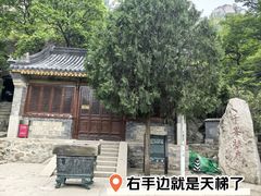 -北京凤凰岭