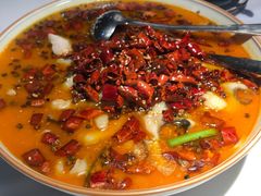 水煮湄公鱼-蕉棠·鸽子餐厅(柳州万象城店)
