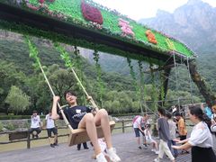 -云台山风景名胜区