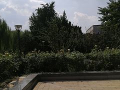 -元大都城垣遗址公园