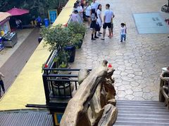 -将军关探险漂流