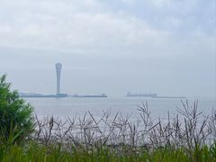 -上海吴淞炮台湾国家湿地公园