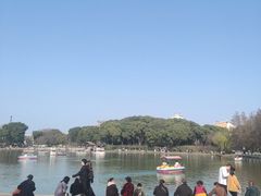 -圩墩遗址公园