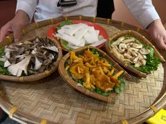 -滇野云南野生菌餐厅(陕西南路店)