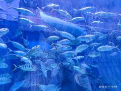 -华夏文旅海洋公园