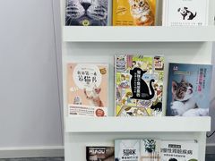-爱洗澡的猫(望京店)