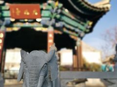 -朱家花园