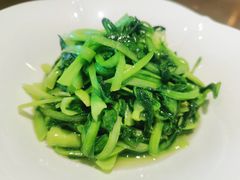 -张生记(丁香国际店)
