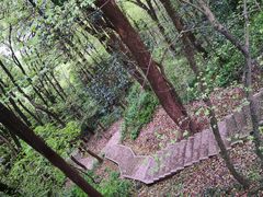 -上海佘山国家森林公园天马山园