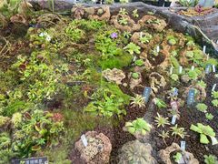 -国家植物园南园