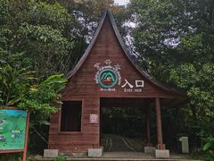 -南丹山森林王国