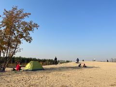 -东郊湿地公园
