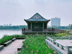 -顺峰山公园