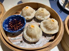 -点都德·毕德寮