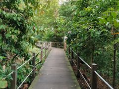 -武吉知马自然保护区