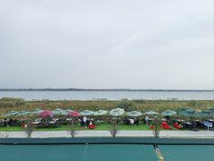 -七的湖·晚芳亭·阳澄湖农家菜·大闸蟹(莲花岛店)