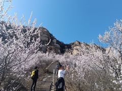 -北京凤凰岭