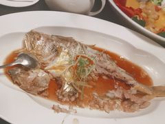 -上海小南国(不夜城店)