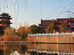 -南海禅寺