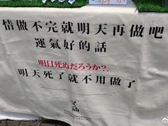 -御手国医·古法经络调理(光华店)