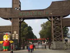 -溱湖国家湿地公园