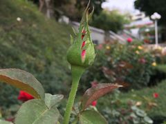 -人民公园(罗湖区)