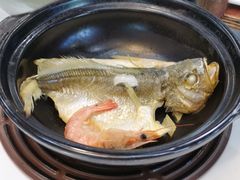 砂锅黄花鱼-勝記酒家·37年老字号·经典粤菜(荔枝公园店)