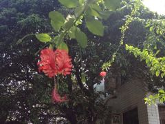 iphone_upload_pic-南丫岛