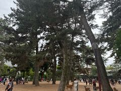 -奈良公园